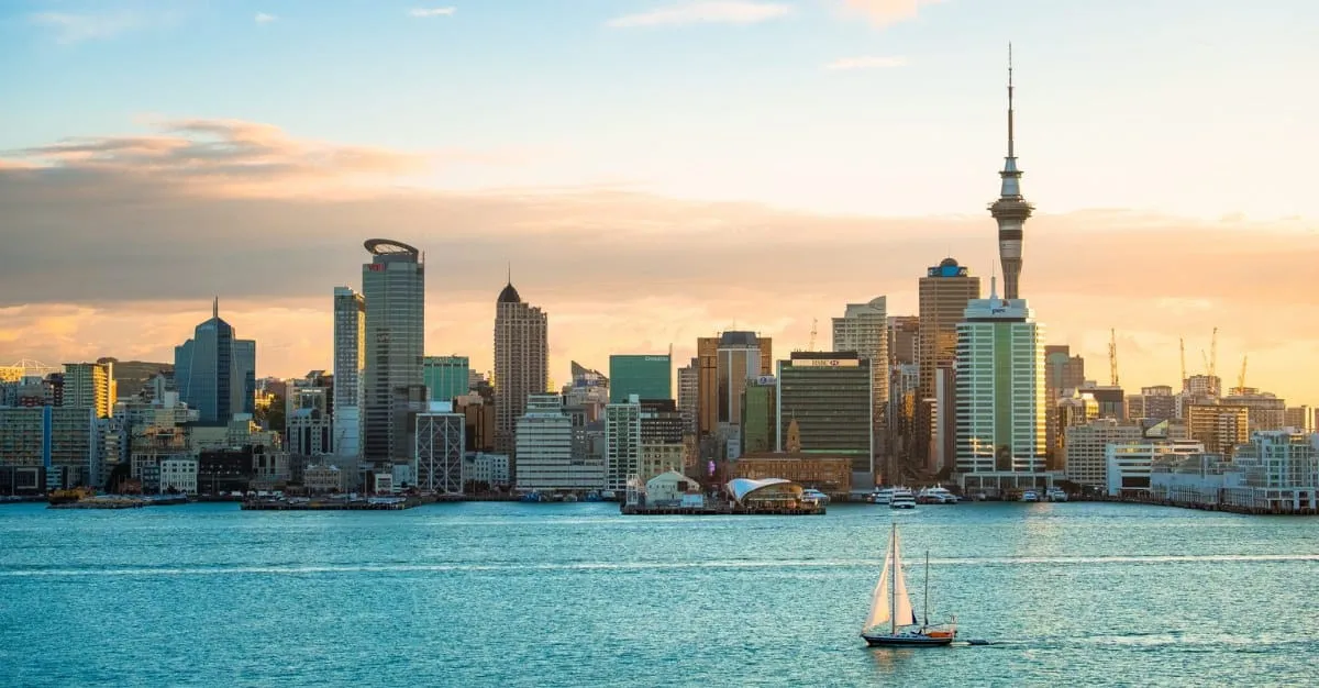 APM - Property Management — Property Managers in Auckland