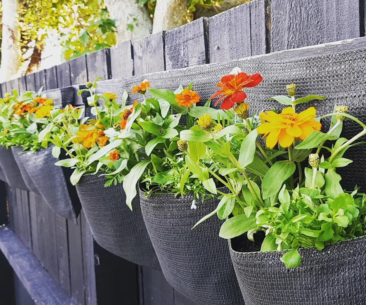Growing Potential — Landscaping Services in New Plymouth