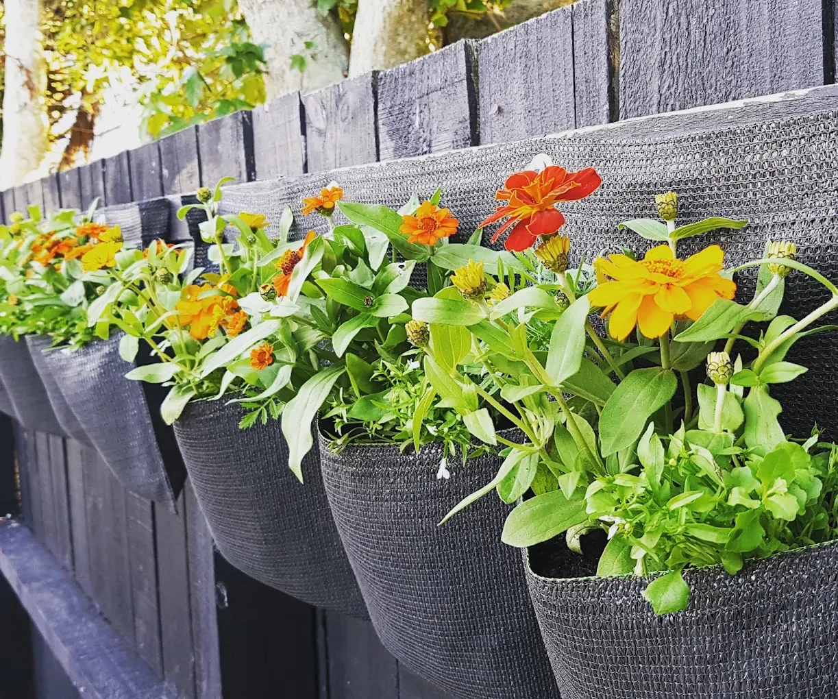 Growing Potential — Landscaping Services in New Plymouth