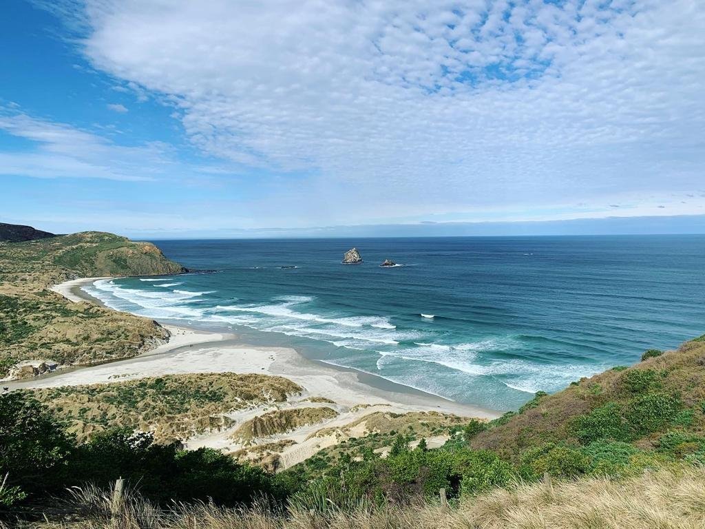 South Island Acupuncture — Acupuncturists in Dunedin