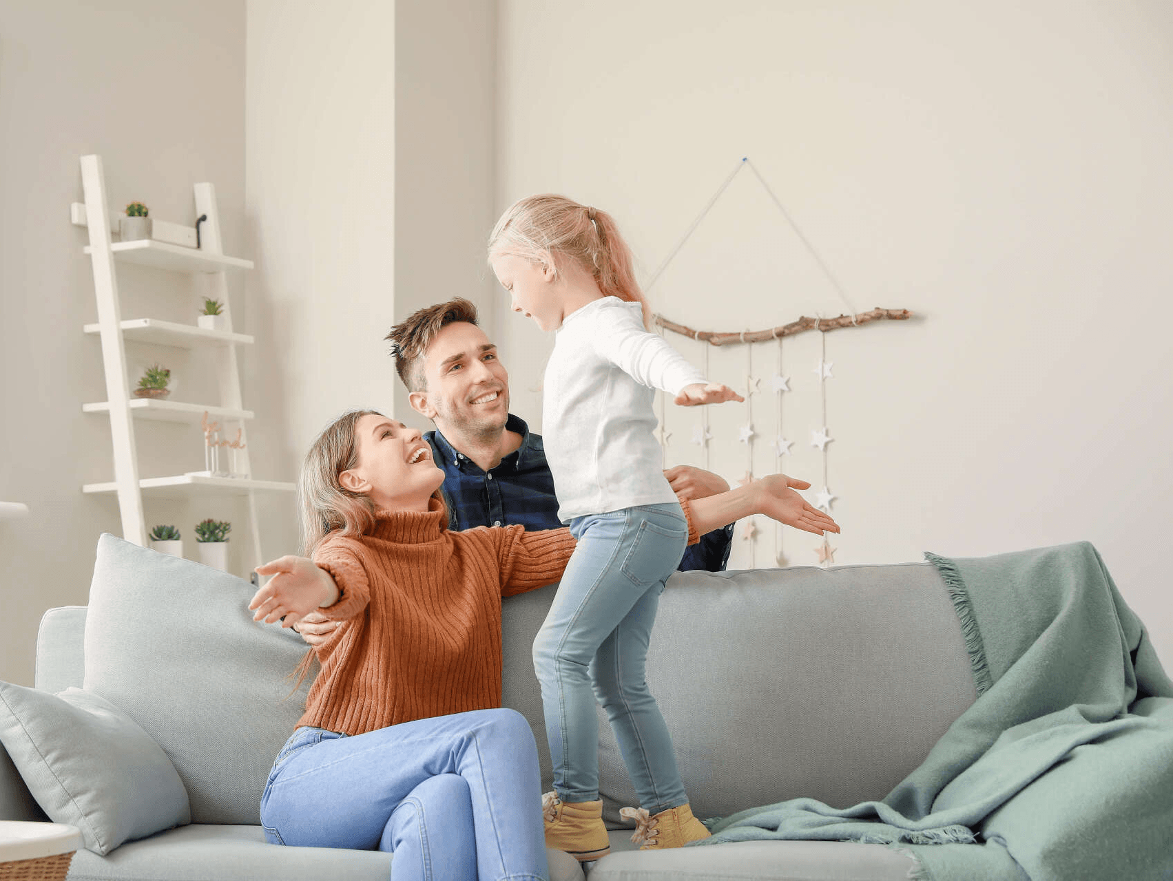 Pest-Free Professional Control — Furniture Stores in Christchurch