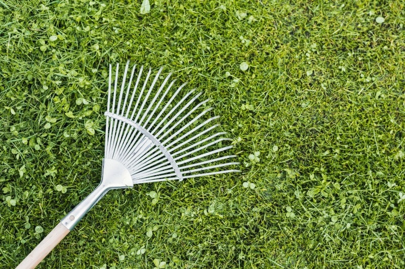 Apex Grounds Maintenance Ltd — Arborists in Wellington