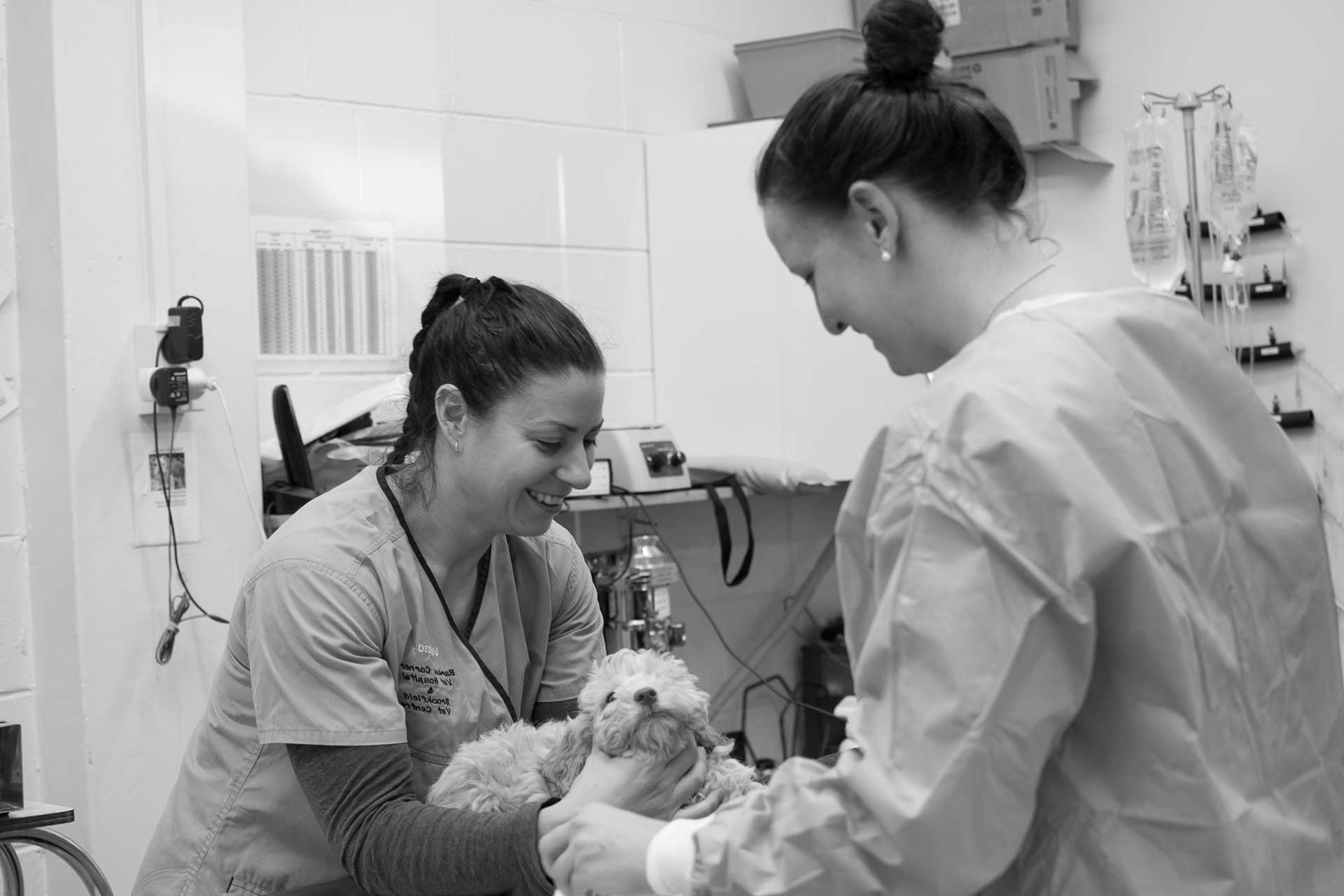 Barkes Corner & Brookfield Vets — Vets in Te Rangiita