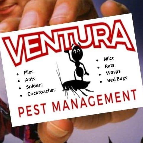 Ventura Pest Management
