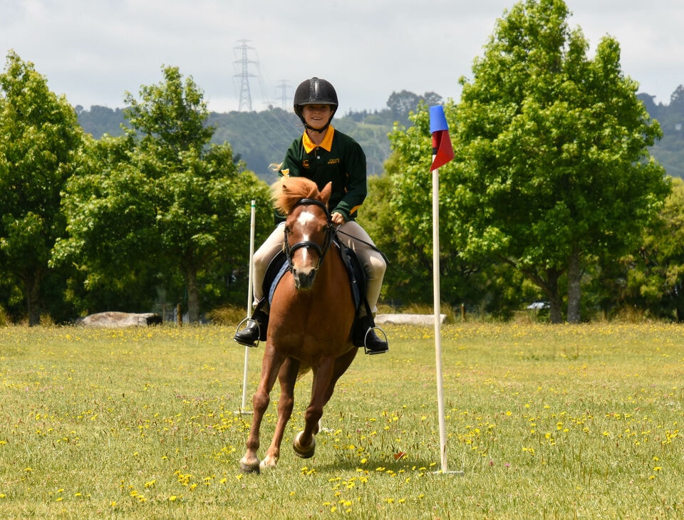 Clevedon Pony Club — Non Profit Organisations in Monument Road