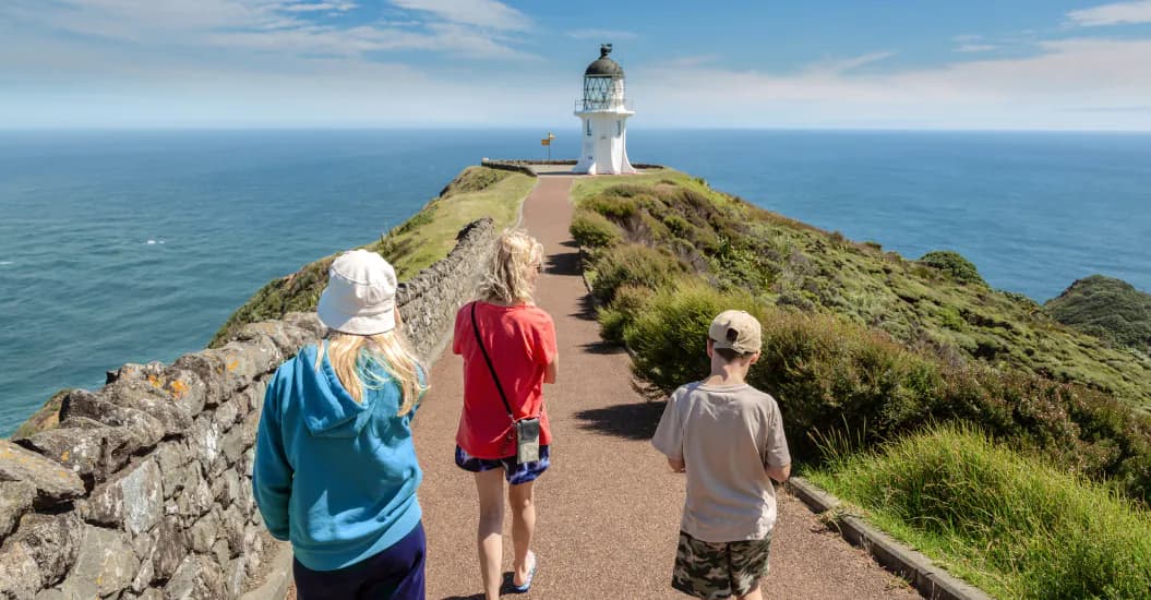 Tower Insurance — Insurance Services in Auckland