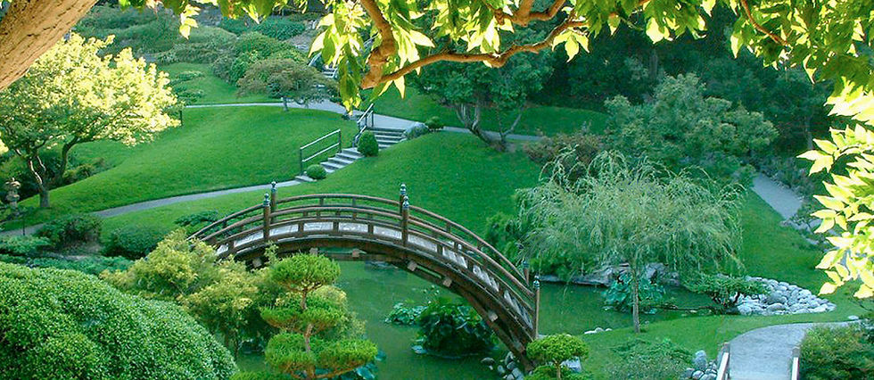 Atag Auckland — Landscaping Services in Auckland