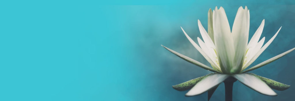 Aqua Salon & Spa — Beauty Salons in Winton