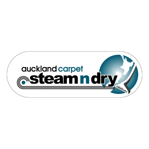 Auckland Steam n Dry