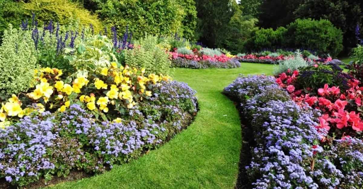 Spade & Barrow Garden Maintenance — Landscaping Services in Auckland