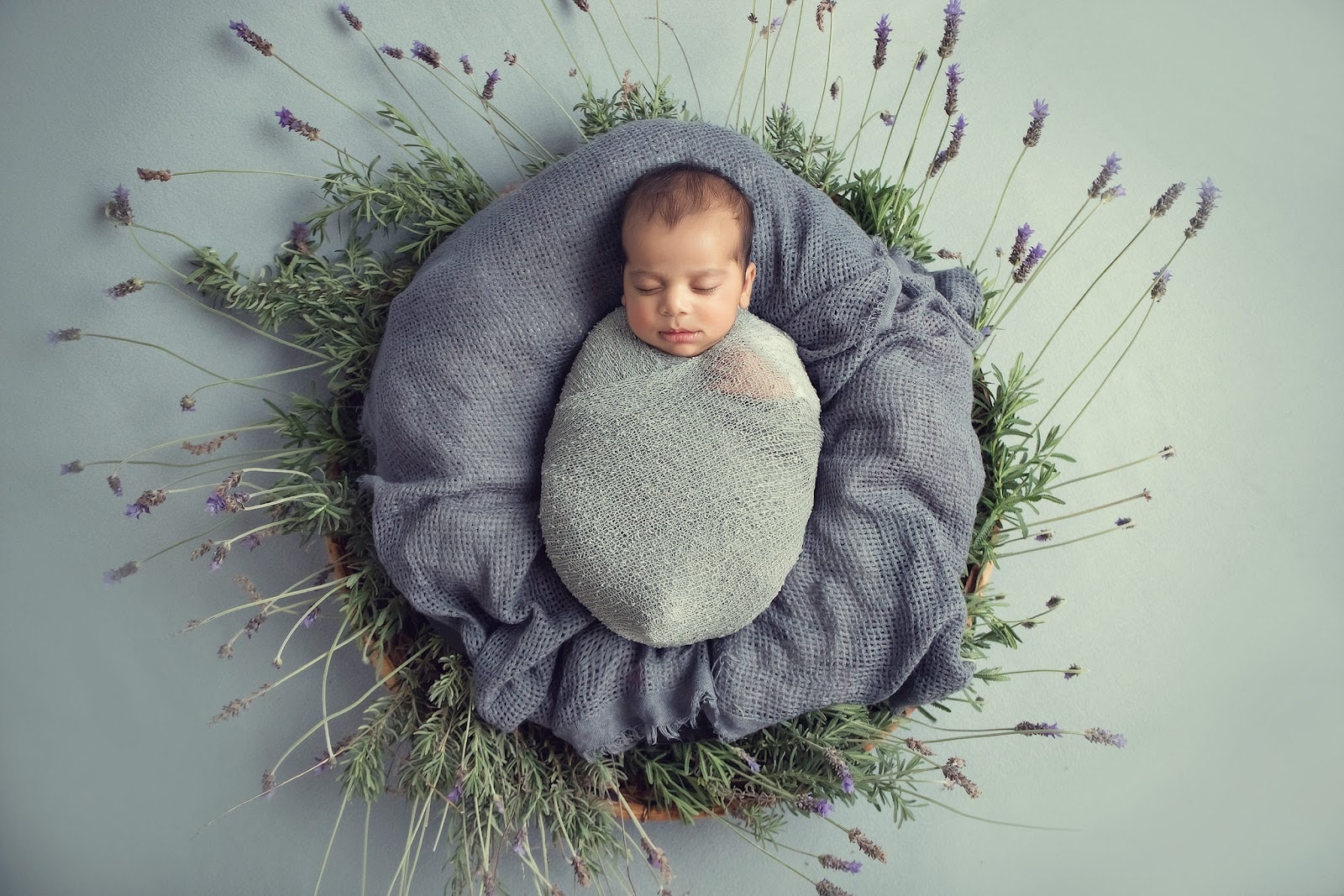 Boutique Lifestyle Photography — Photographers in Auckland