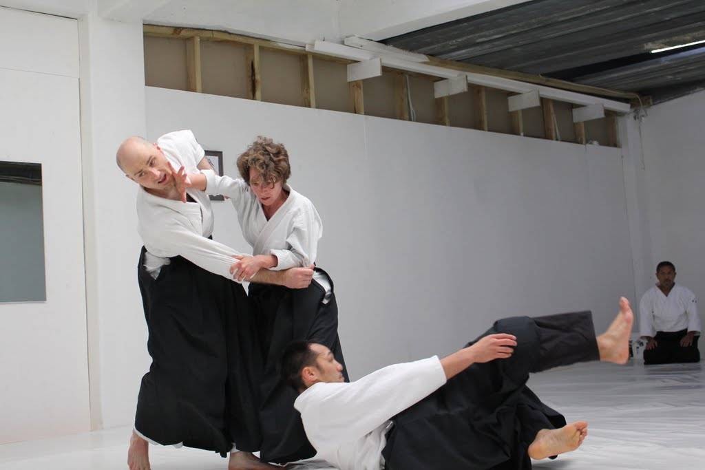 Aikido Tenshindo Wellington — Education & Training in Wellington