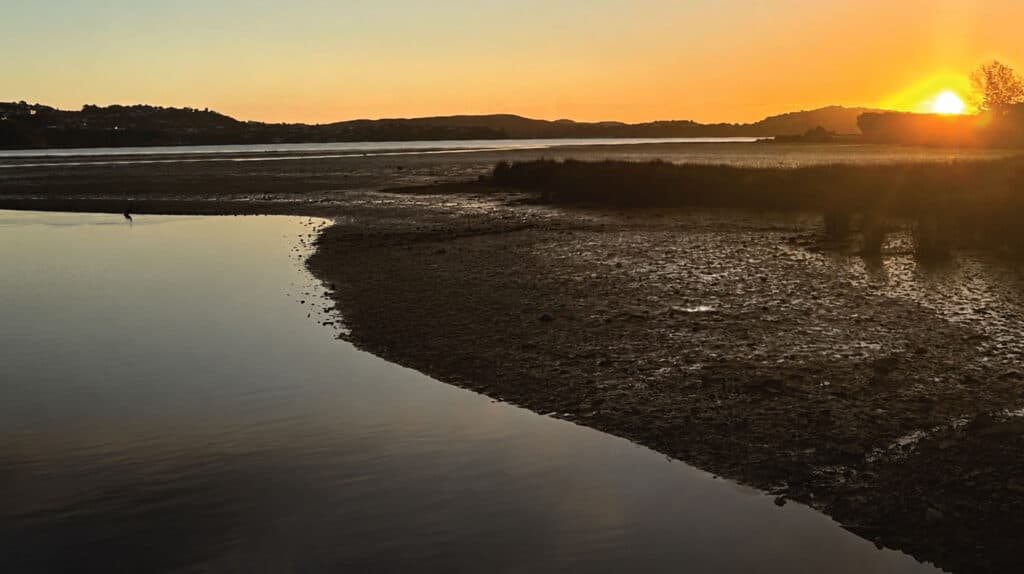 The Lodge Pautahanui Inlet — Accommodation in Porirua