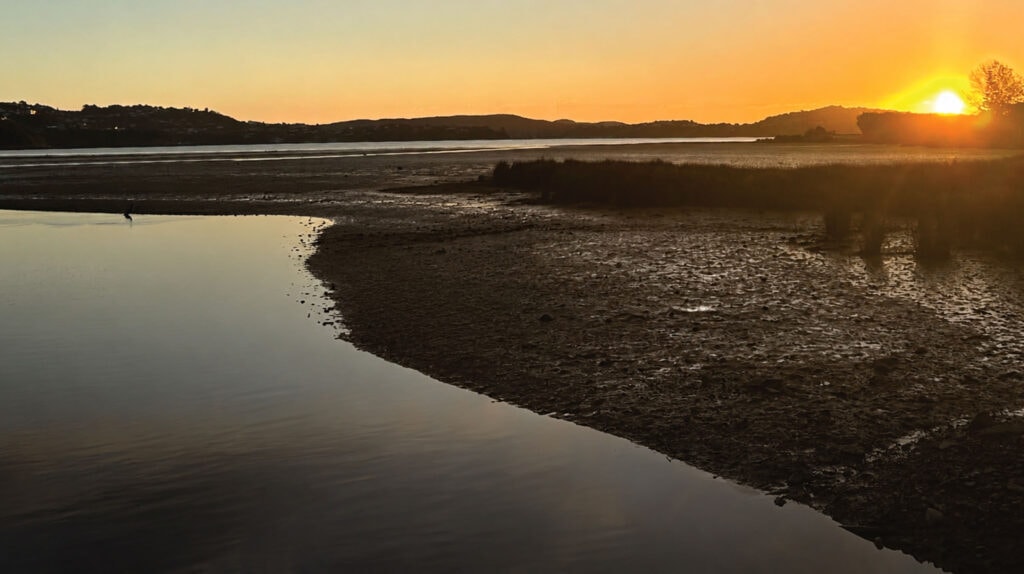 The Lodge Pautahanui Inlet — Accommodation in Porirua