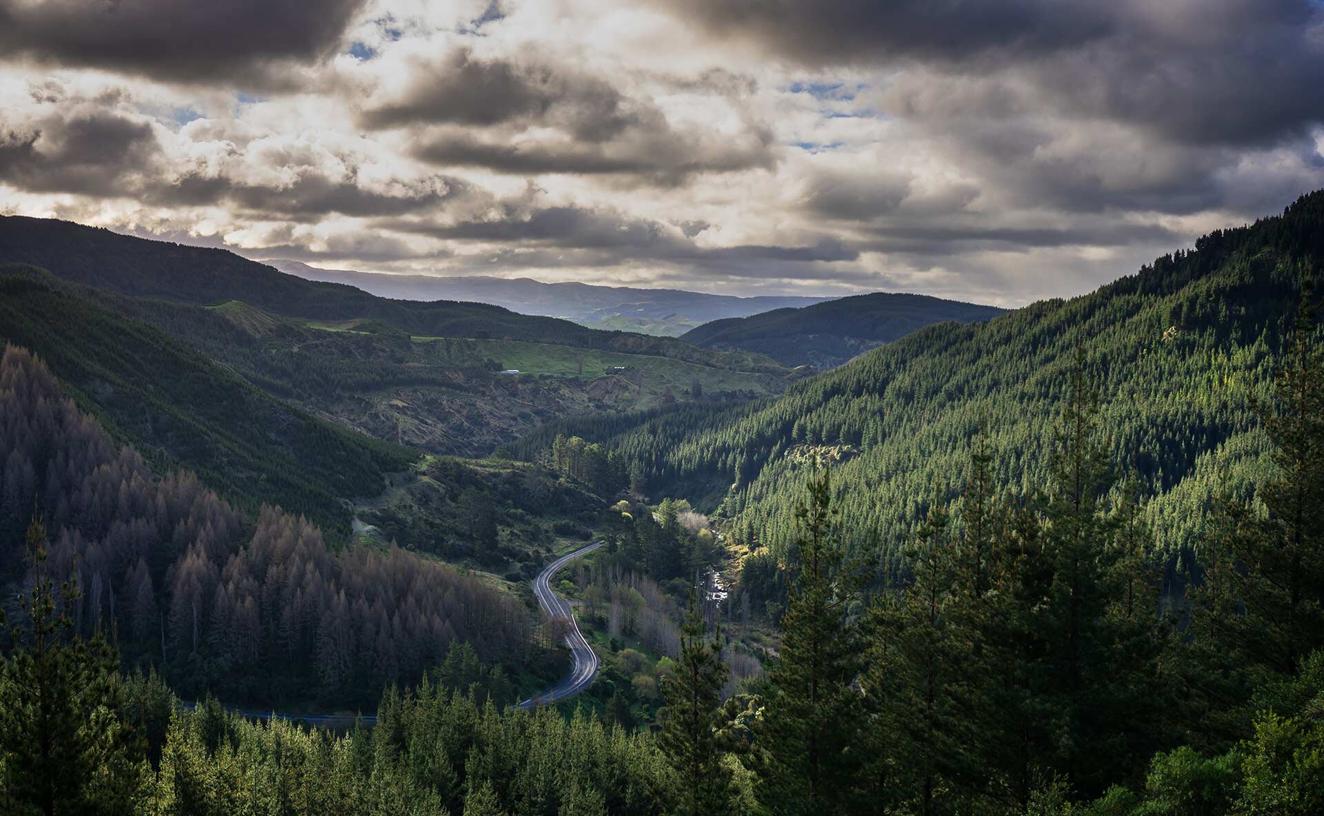 Diligent Wealth Management — Financial Services in Queenstown