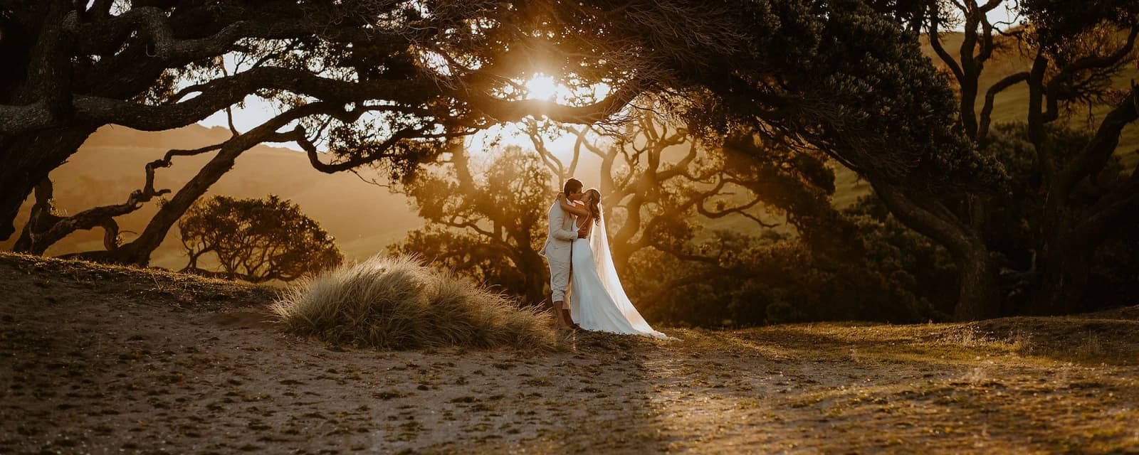 Wild & Grace Photography