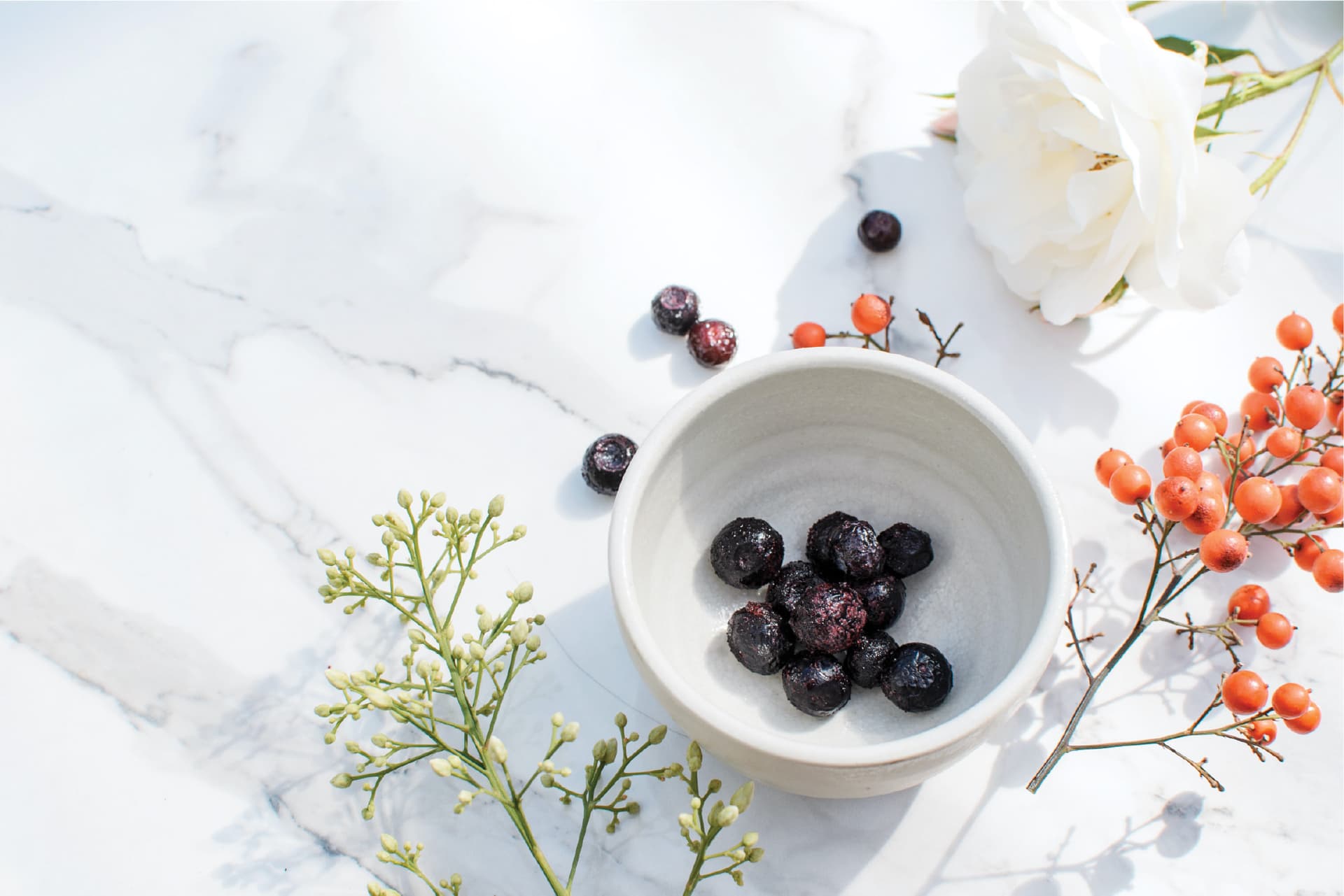 Mamaku Blue — Café in Mamaku