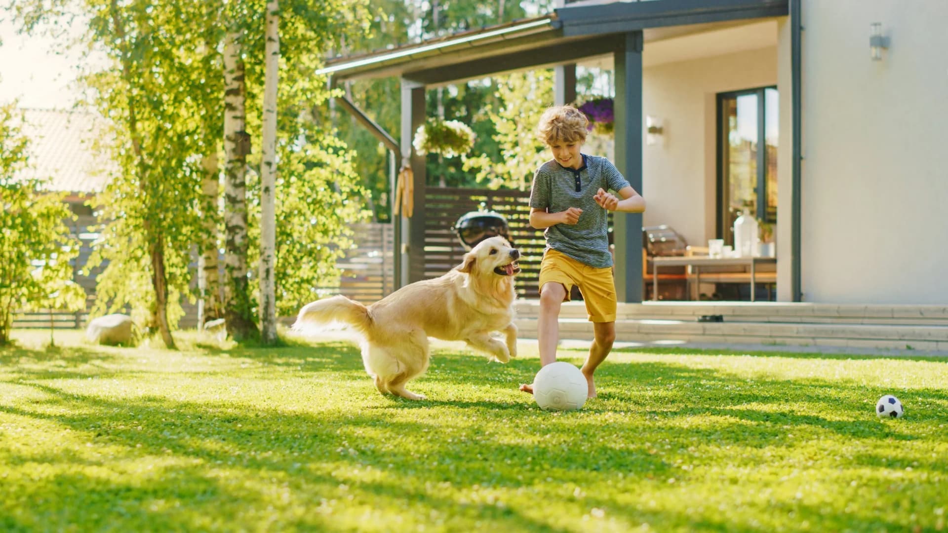 Oasis Landscape Maintenance — Landscaping Services in Auckland