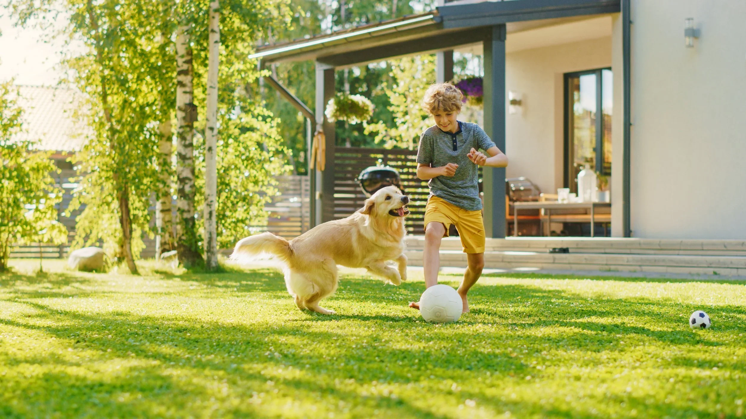 Oasis Landscape Maintenance — Landscaping Services in Auckland