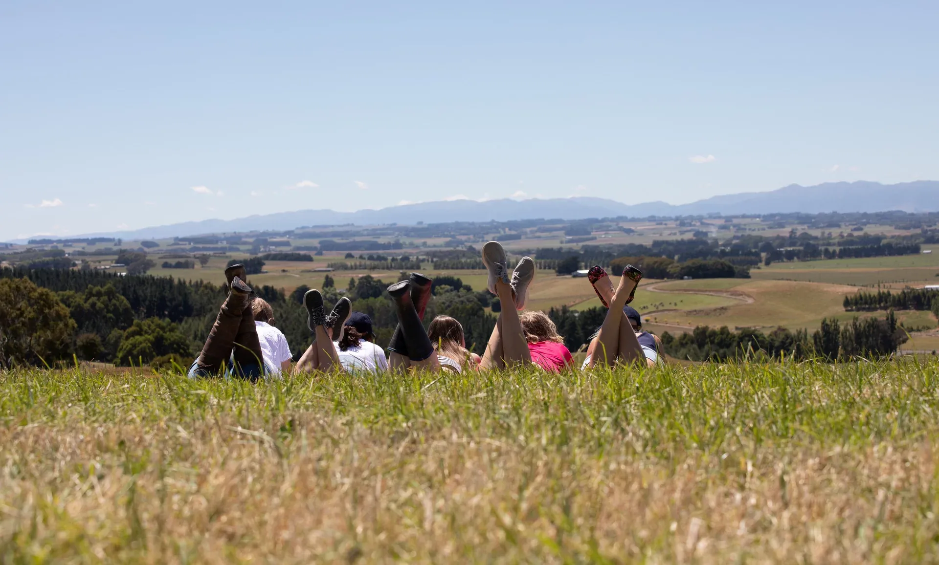 Grass Roots Media — Social Media Services in Palmerston North