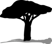 Rakau Tautoko