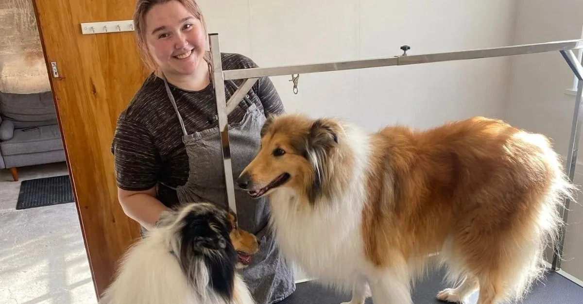 Fluff Busters Dog Grooming — Dog Groomers in Hamilton