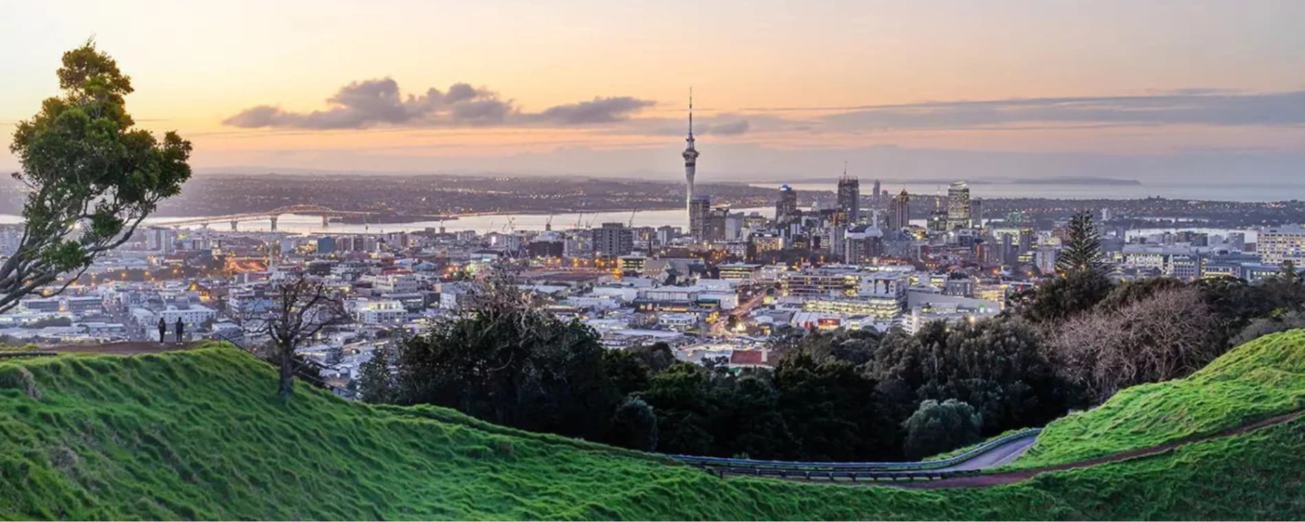 SBA Auckland CBD