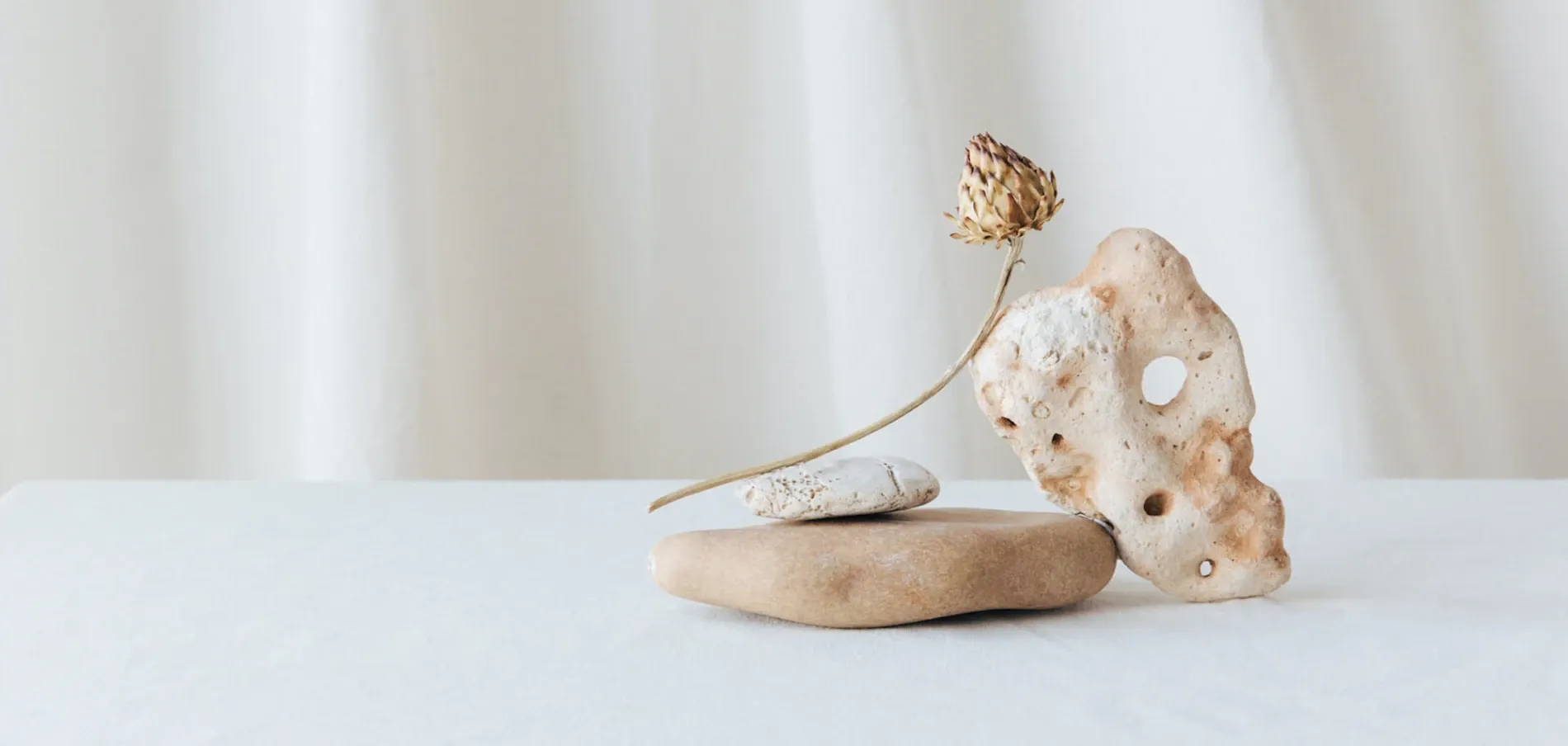 Half Light Studio — Website Designers in Hawke's Bay