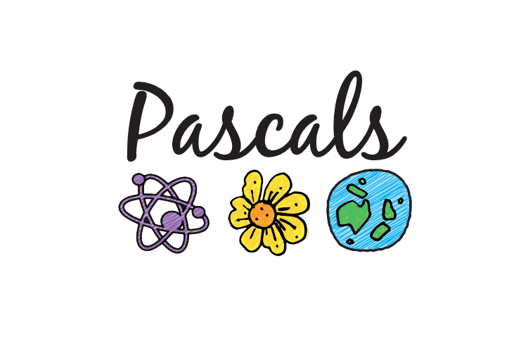 Pascals — Childcare Centres in Auckland