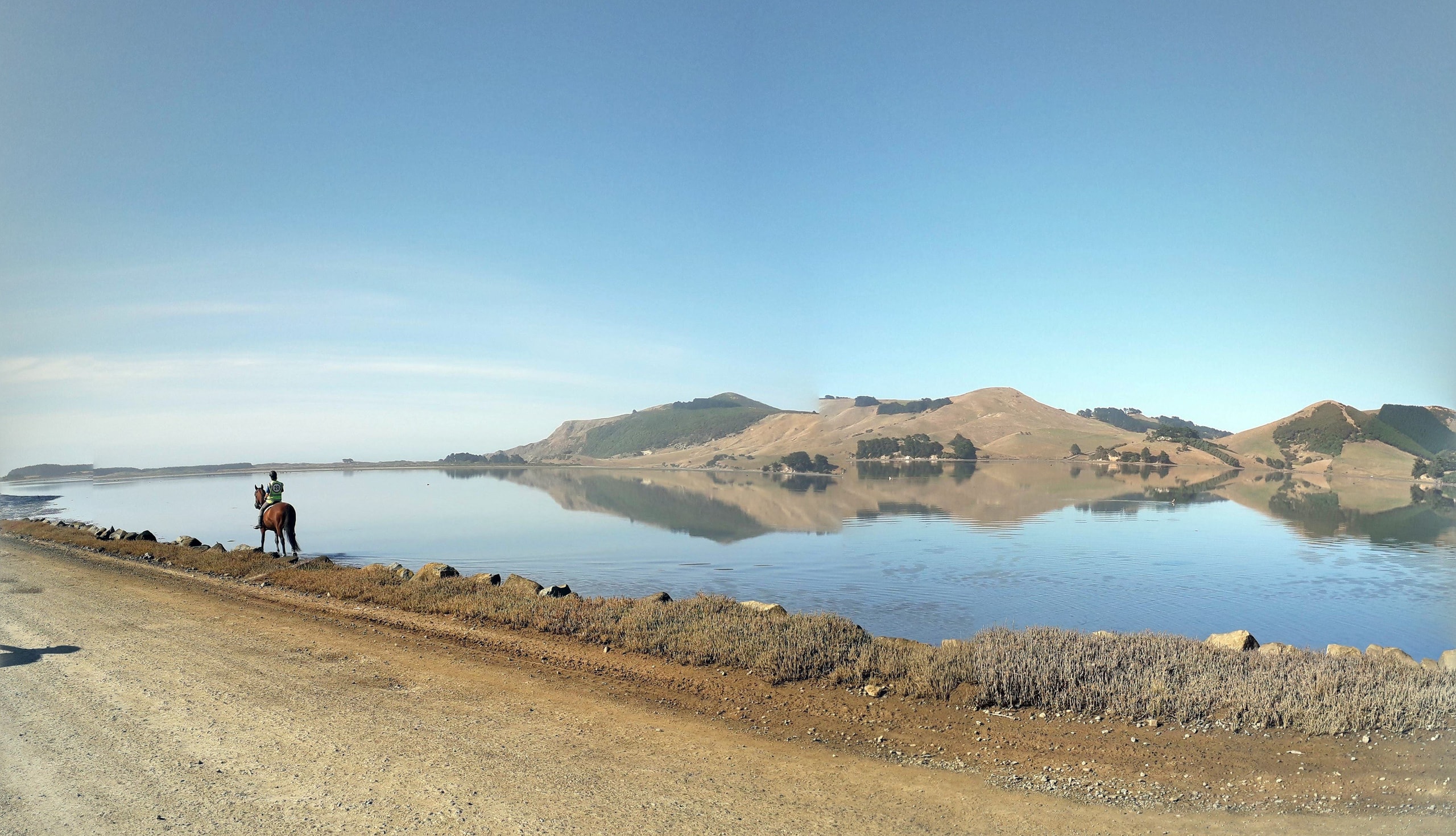 Fantail Tours — Travel & Tourism in Dunedin