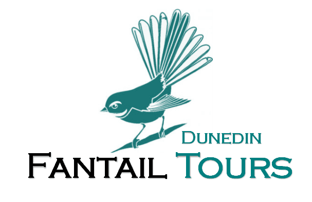 Fantail Tours