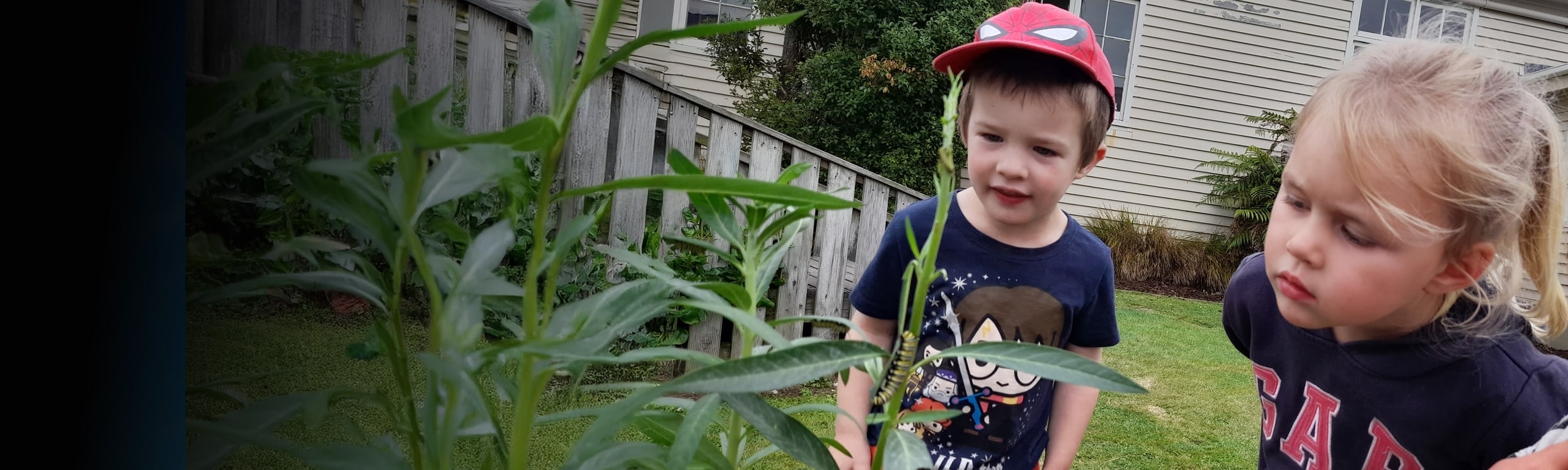 Little Citizens Early Learning Centre — Childcare Centres in Dunedin