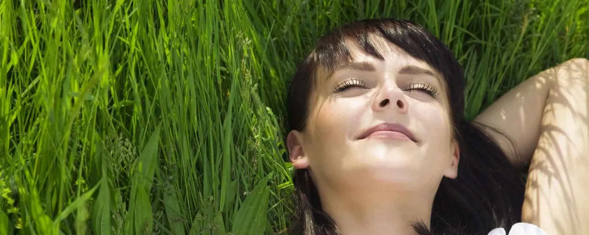 Chiropractic Touch — Chiropractors in Takapuna
