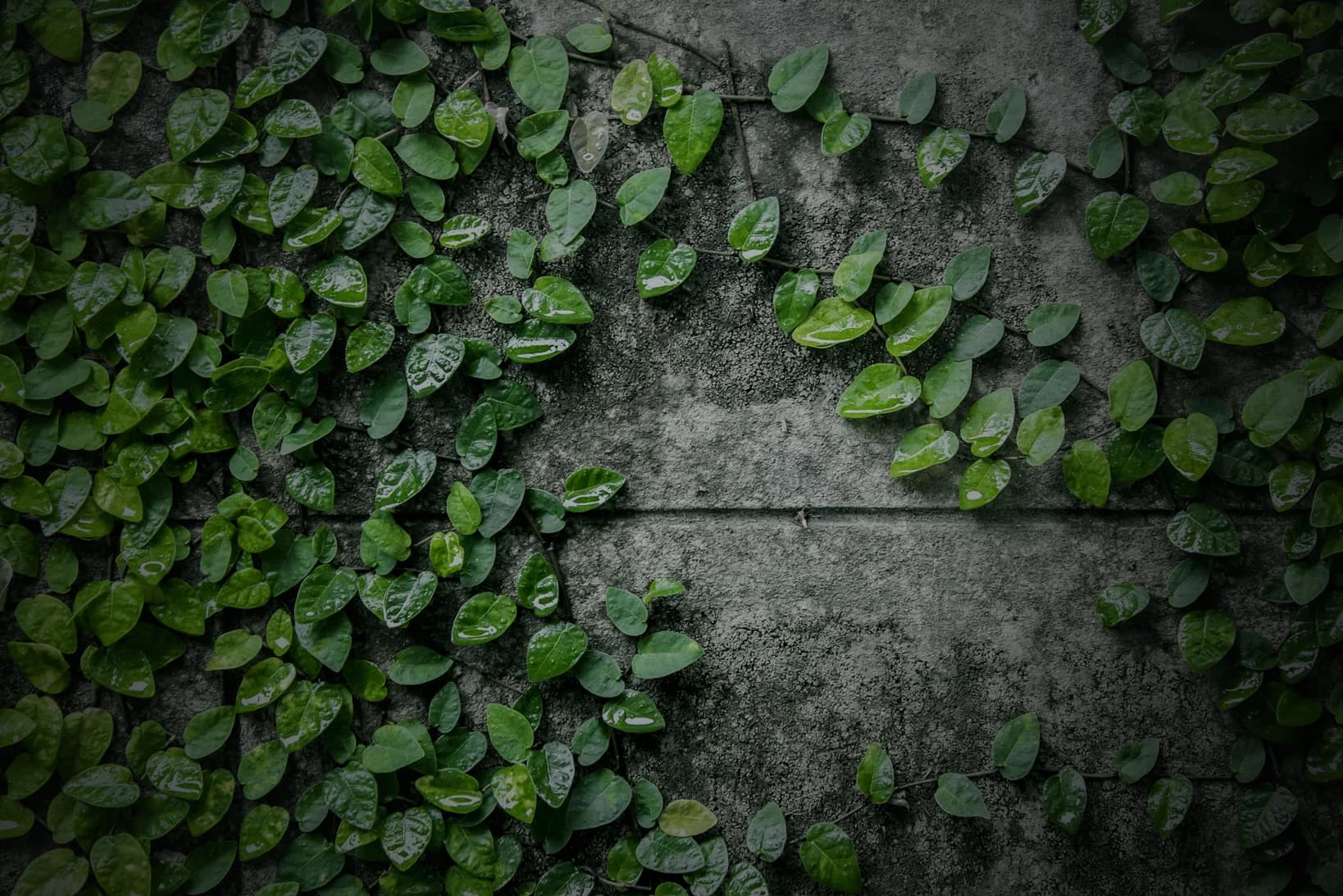 Total Landscape Solutions — Landscaping Services in Palmerston North