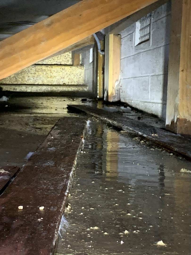 NZ Water Leak Detection — Plumbers in Auckland