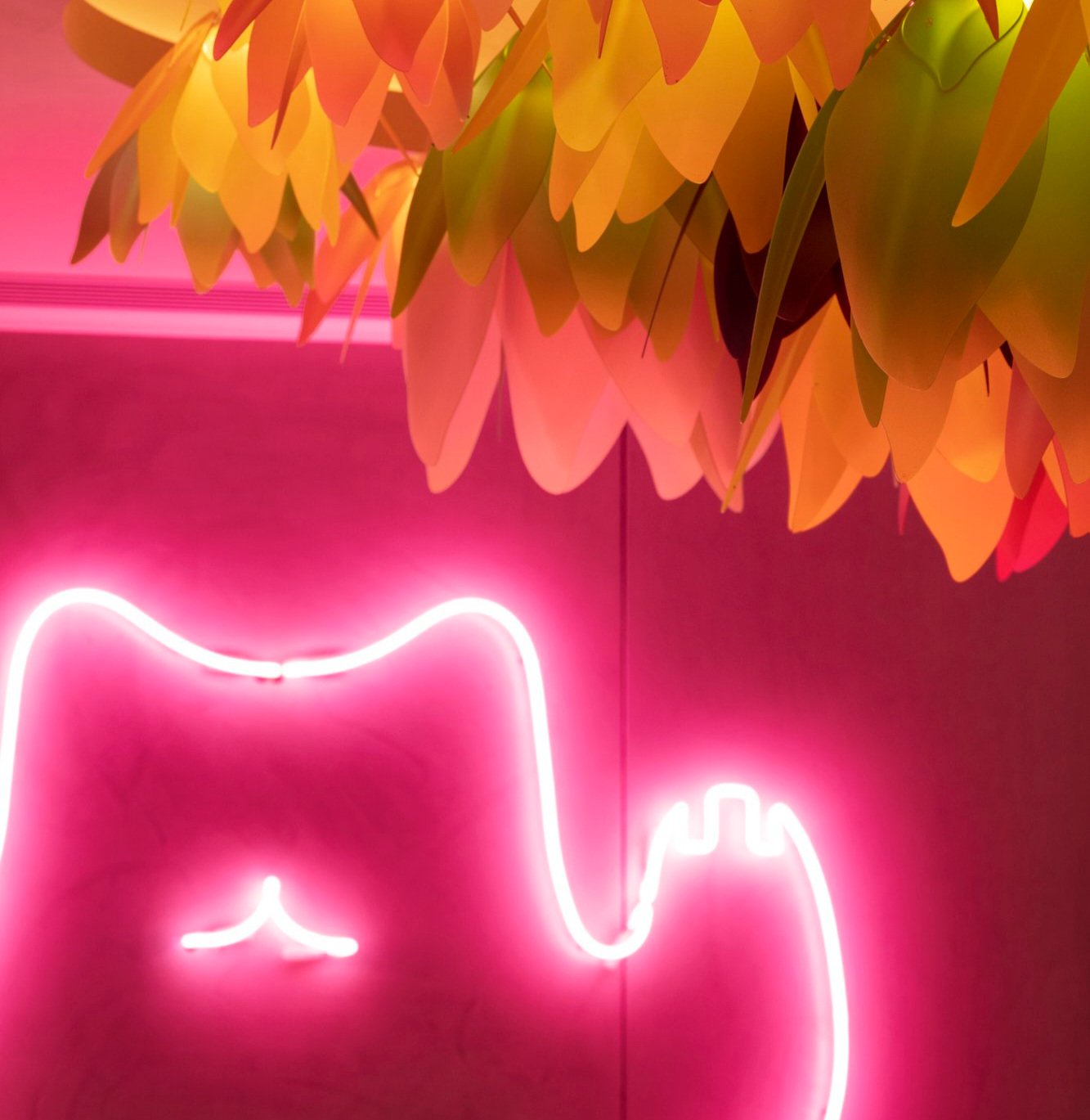 Hello Beasty — Restaurants in Auckland
