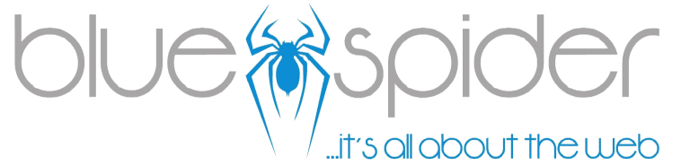 BLUESPIDER - Web Design
