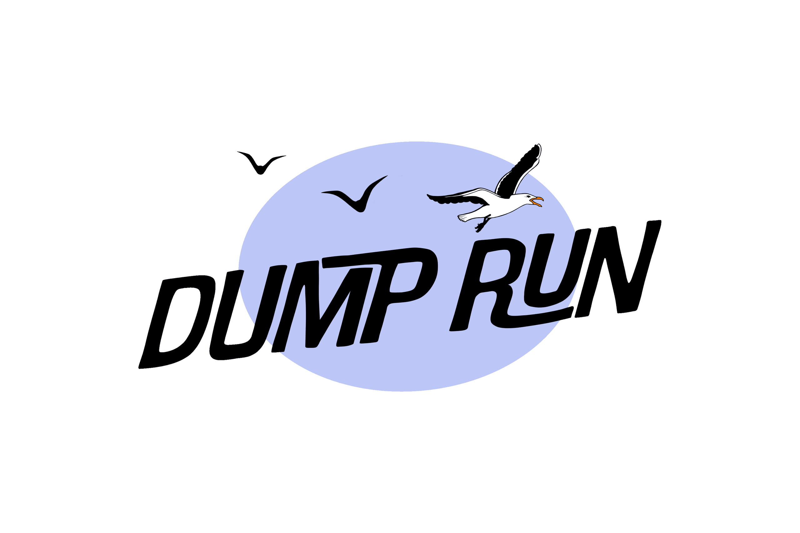 Dump Run Junk Removal — Waste Management in Queenstown