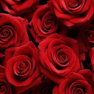 Designer Flowers