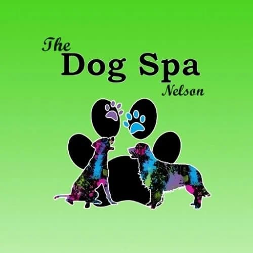 The Dog Spa & Wagging Tails Daycare