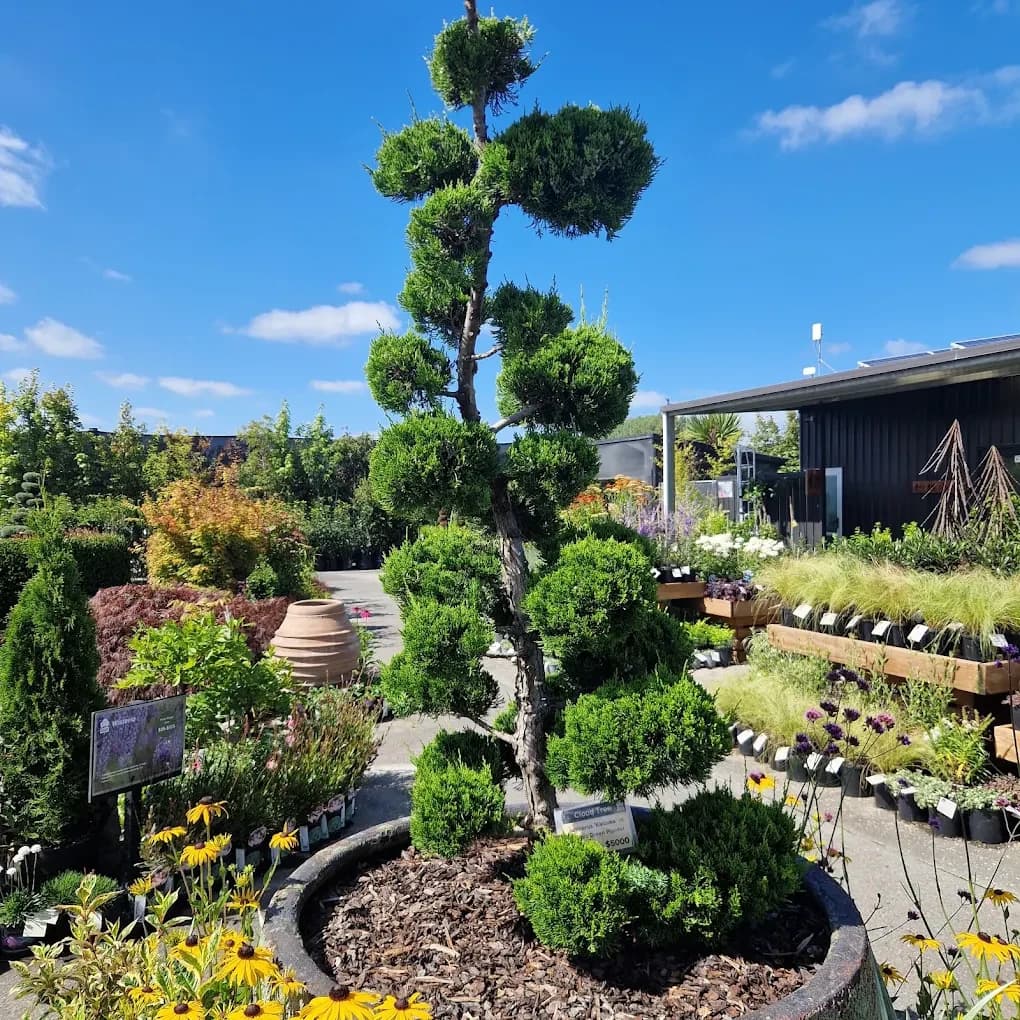 Southern Woods Nursery — Garden Centres in Rolleston