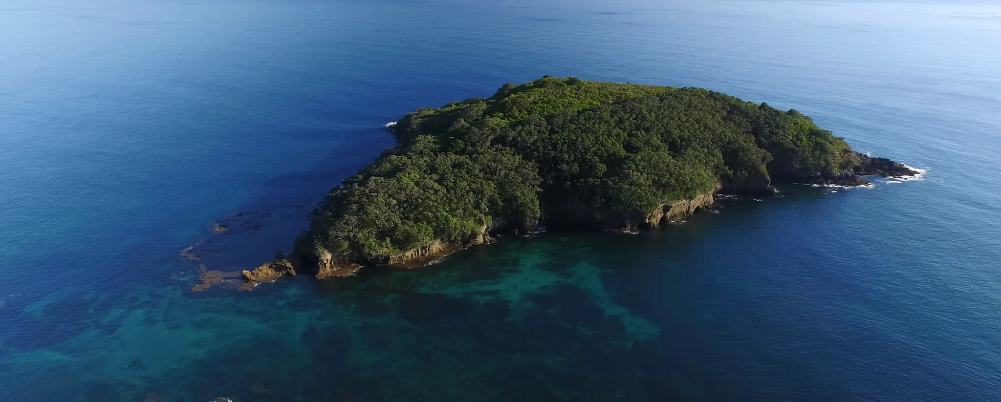 Goat Island Dive & Snorkel — Travel & Tourism in Warkworth