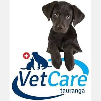 VetCare Tauranga