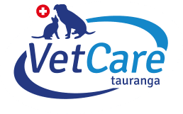 VetCare Tauranga