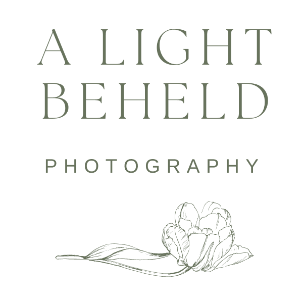 A Light Beheld
