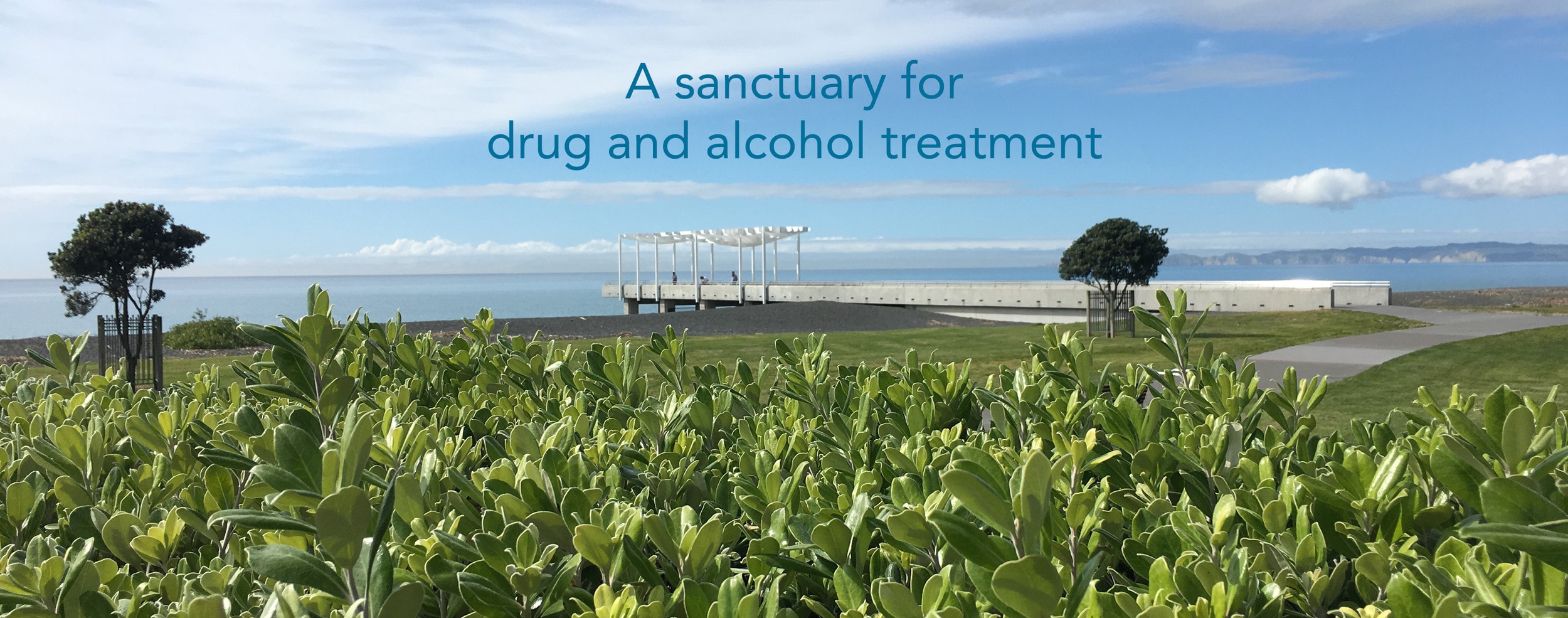 Ocean Hills Wellness and Rehabilitation — Health & Wellness in Napier