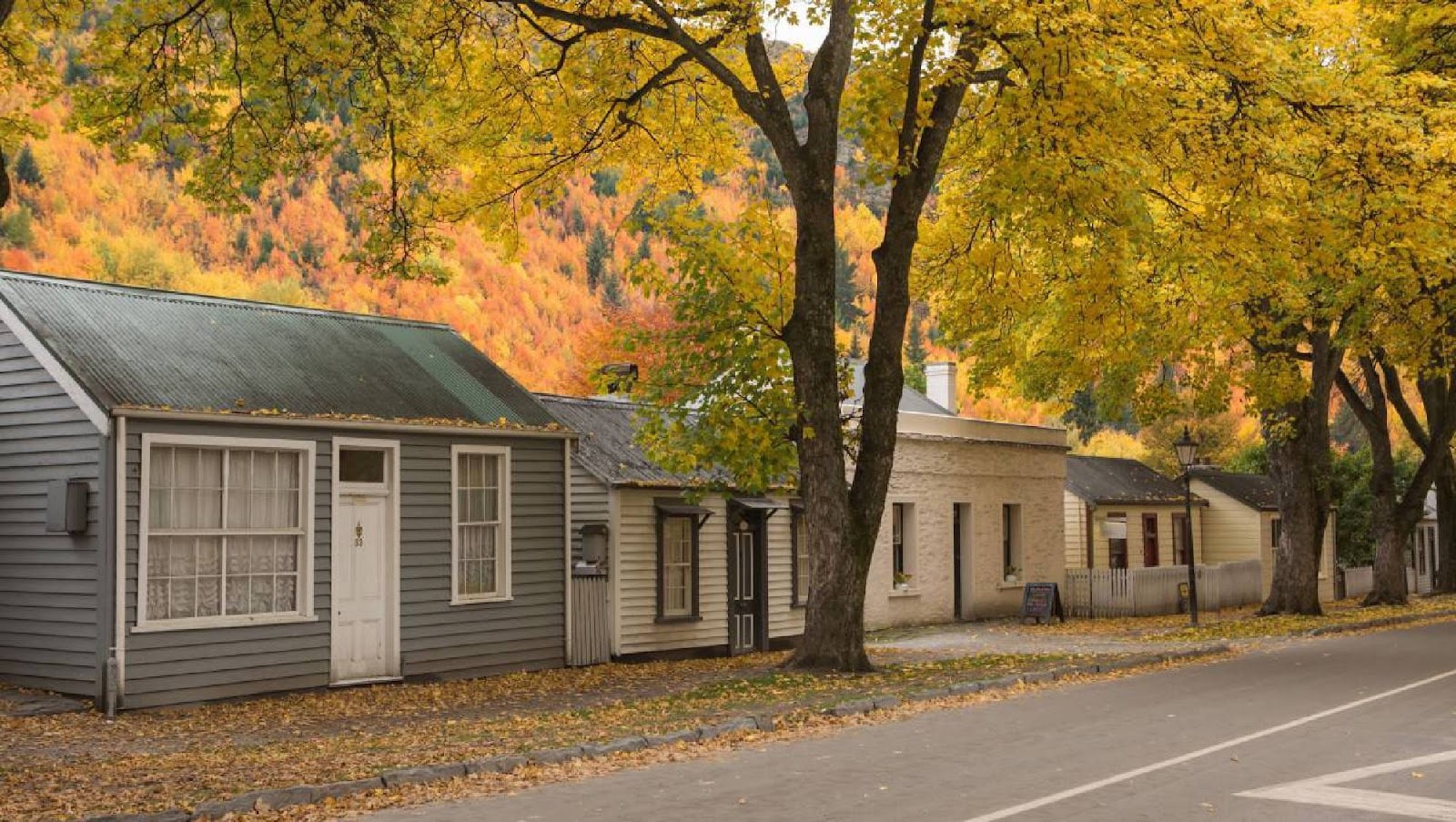 Ones and Zeros Technology Limited — Software Developers in Queenstown