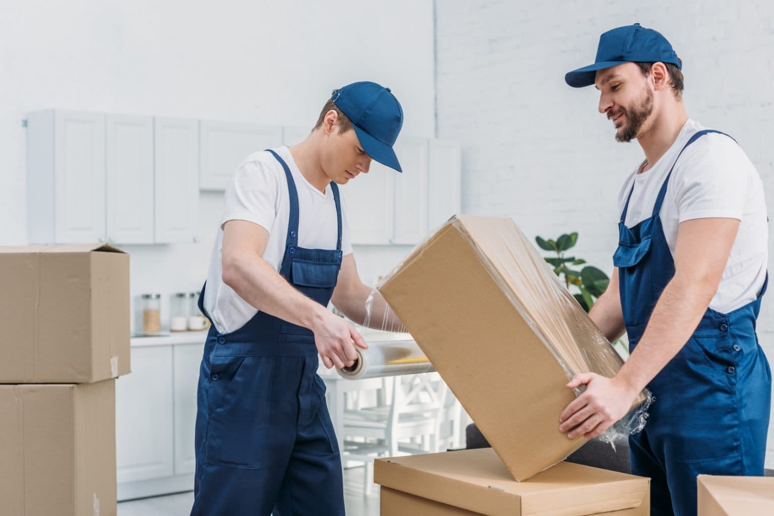 Team Removals Whangarei — Moving Companies in Whangārei