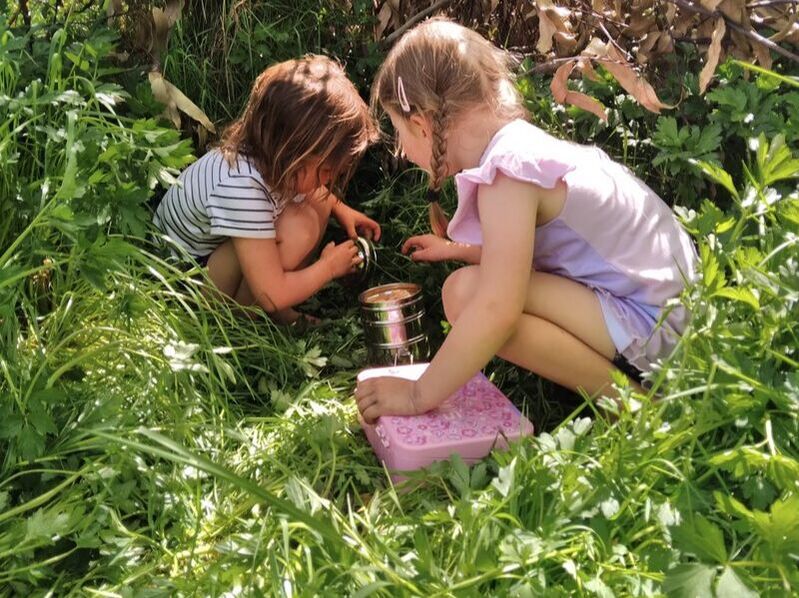 Nature Kids — Childcare Centres in Hastings