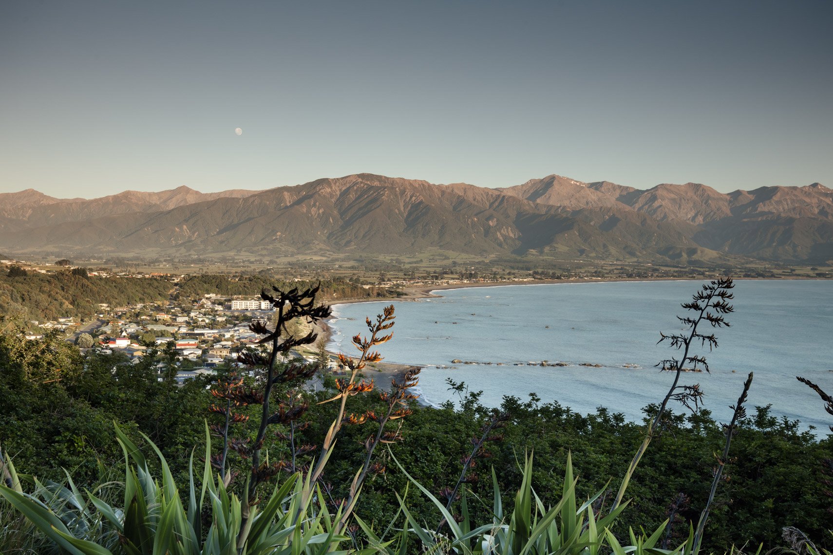 clifftop cabins — Accommodation in Kaikōura